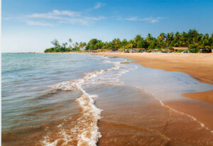 Morjim Beach | Goa